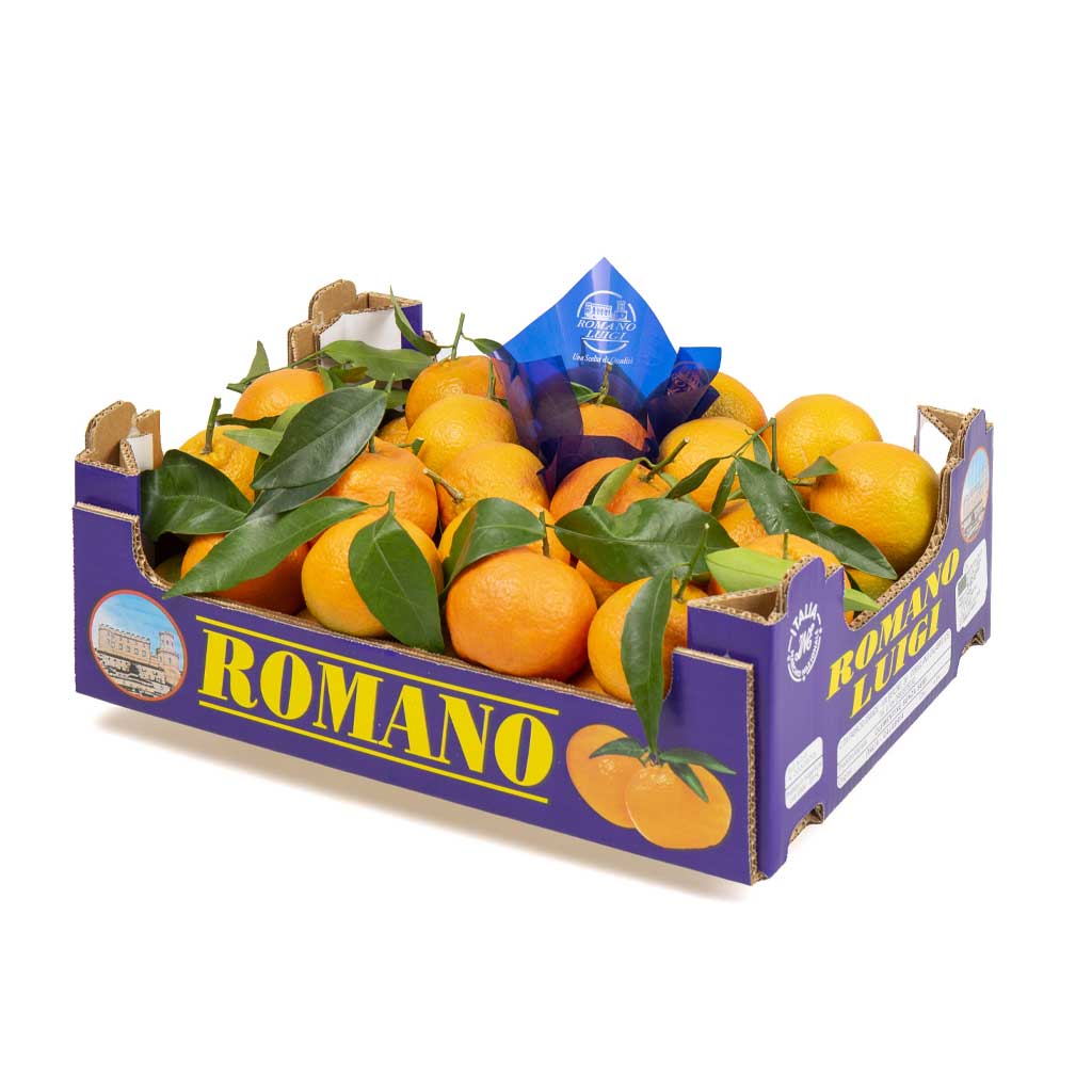 Clementine di Calabria IGP - Ortofrutta Romano Luigi