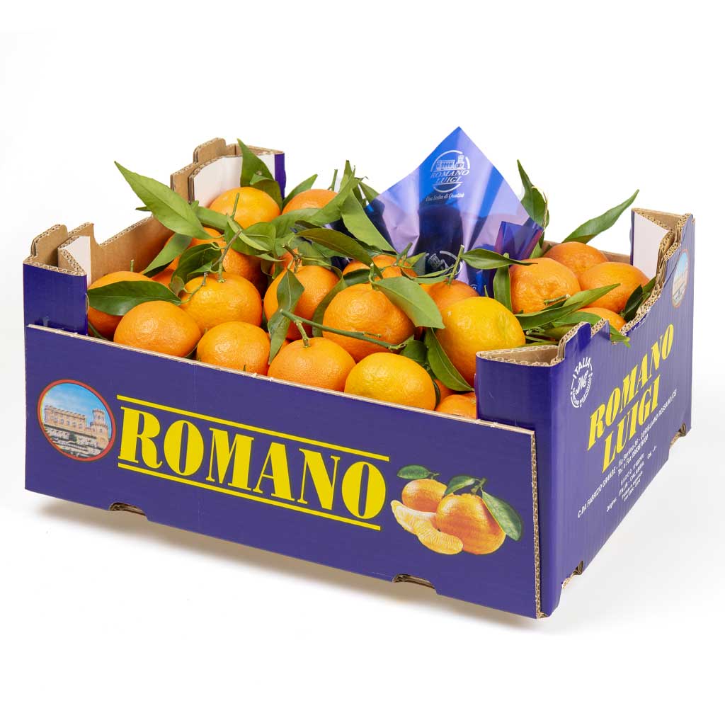 Clementine di Calabria IGP - Ortofrutta Romano Luigi
